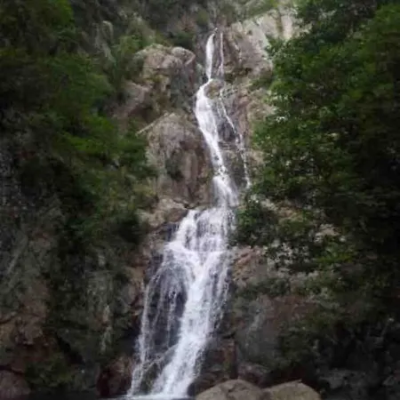 Casa Joca